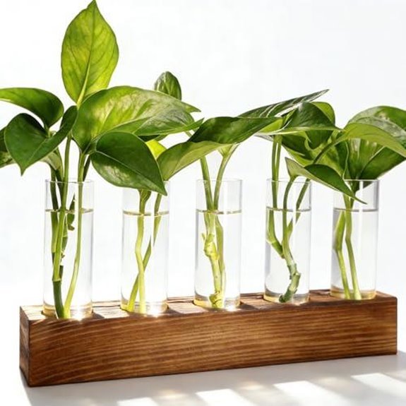 7 Best Propagation Stations for 2026 (Root for Success) 1 renmxj plant propagation station