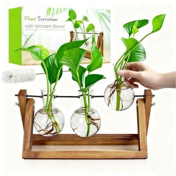 7 Best Propagation Stations for 2026 (Root for Success) 5 renmxj plant propagation terrarium kit