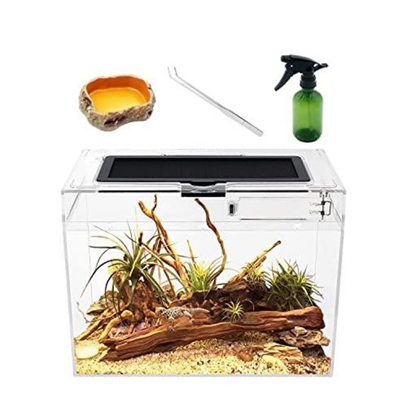 5 Best Frog Tanks for 2026 (Hop Into Happy Habitats) 3 reptile growth mini terrarium