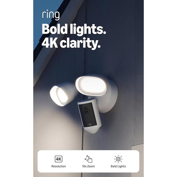 10 Best Floodlights for 2026 That'll Light Up Your Night 6 ring floodlight cam pro 4k