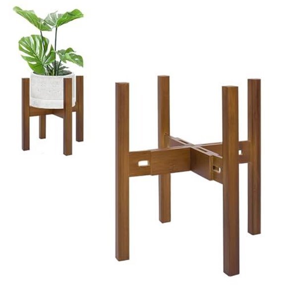 15 Best Places for a Spider Plant in 2026 11 rinmed adjustable bamboo stand