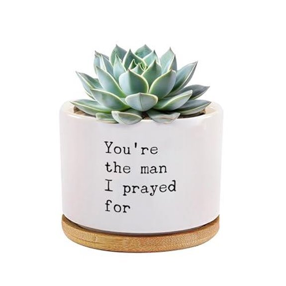 10 Best Plants to Gift Your Boyfriend in 2026 1 romantic succulent plant gift