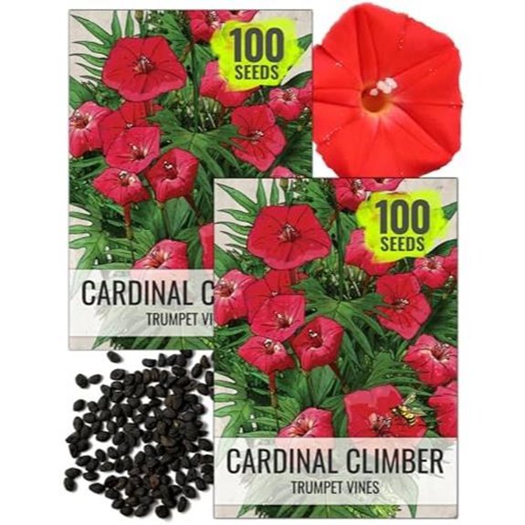 10 Best Annual Climbers for 2026 (Vertical Garden Magic) 1 seed needs cardinal climber seeds