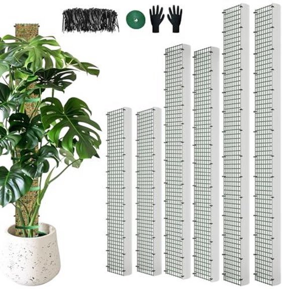 10 Best Poles for Monstera Deliciosa in 2026 8 six pack metal moss poles for climbing plants