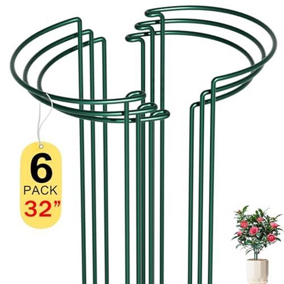 10 Best Raspberry Supports for 2026 8 six pack peony plant support stakes