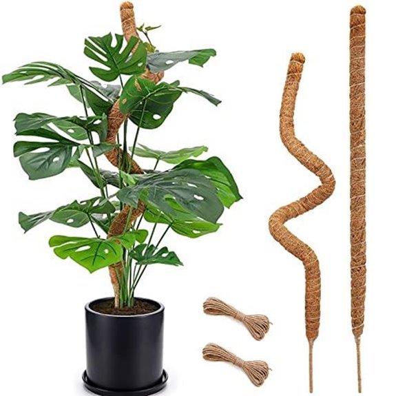 10 Best Poles for Monstera Deliciosa in 2026 6 soupiar 2 pack moss poles