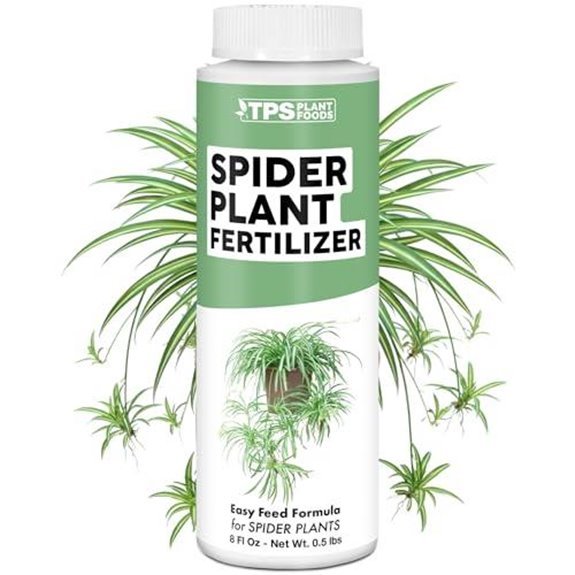 15 Best Places for a Spider Plant in 2026 3 spider plant liquid fertilizer 8oz