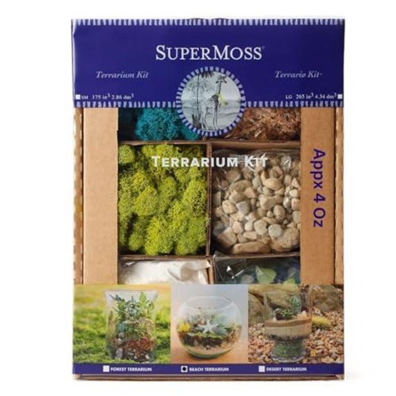 15 Best Terrarium Kits for 2026 (Bring Nature Indoors) 14 supermoss beach terrarium kit