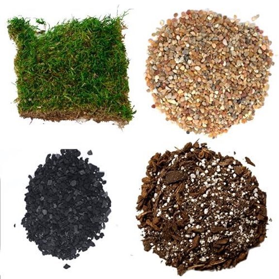 15 Best Terrarium Kits for 2026 (Bring Nature Indoors) 9 terragreen succulent terrarium kit