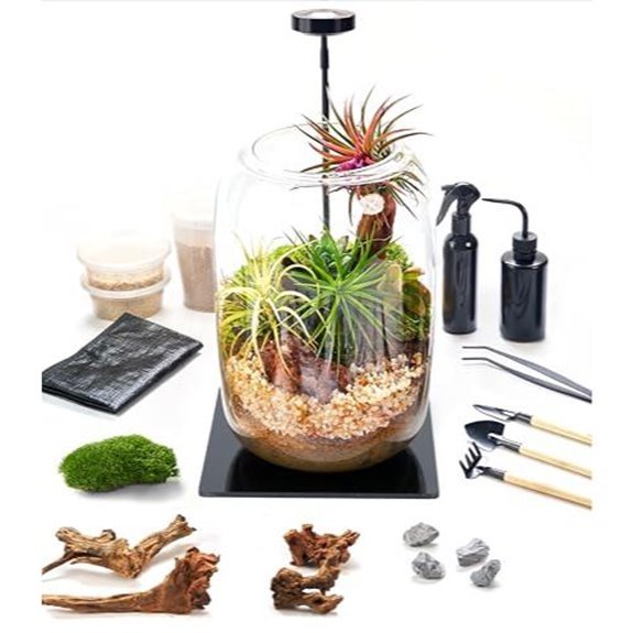 15 Best Terrarium Kits for 2026 (Bring Nature Indoors) 8 terrarium kit with light