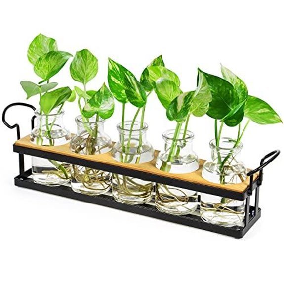 7 Best Propagation Stations for 2026 (Root for Success) 3 thygiftree propagation station set