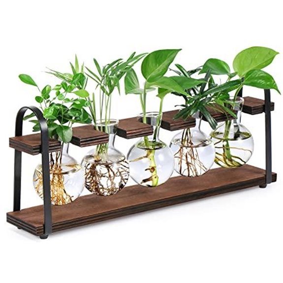 7 Best Propagation Stations for 2026 (Root for Success) 4 thygiftree terrarium propagation station