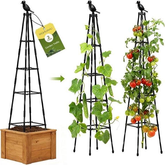 two pack 65 inch garden trellises
