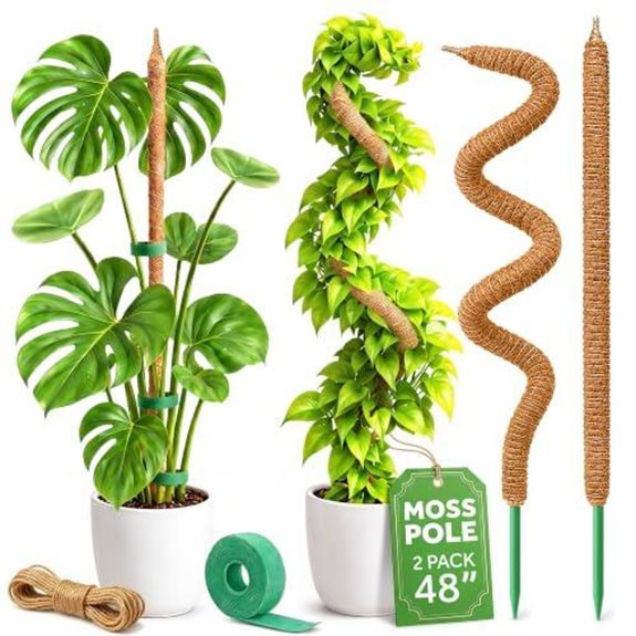 7 Best Monstera Support for 2026 (Help Them Climb High) 7 two pack bendable moss poles
