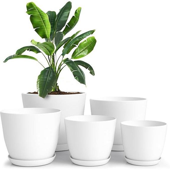 utopia home 5 pack pots
