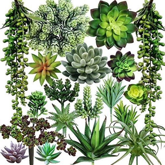 winlyn 19 pcs succulent set