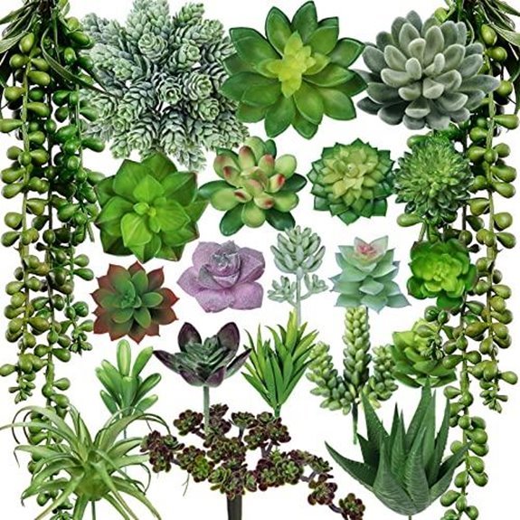 winlyn 22 pcs succulents bundle