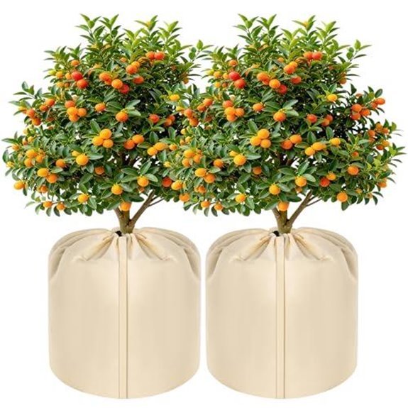 10 Best Frost Proof Pots for 2026 (Year-Round Gardening) 8 winter plant pot freeze protection covers