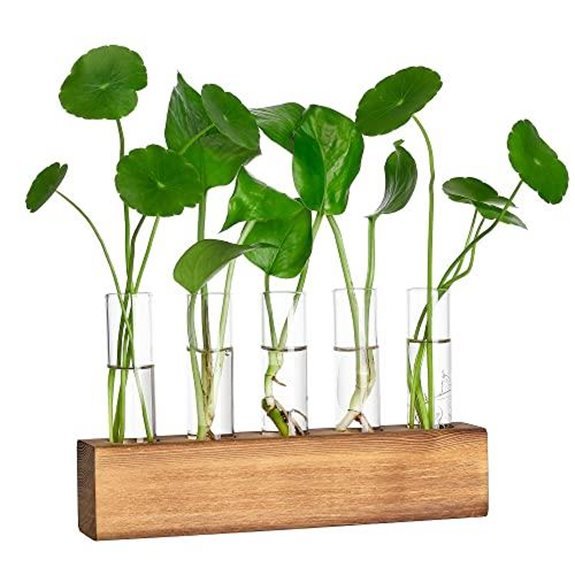 7 Best Propagation Stations for 2026 (Root for Success) 6 yibot propagation stations with glass tubes